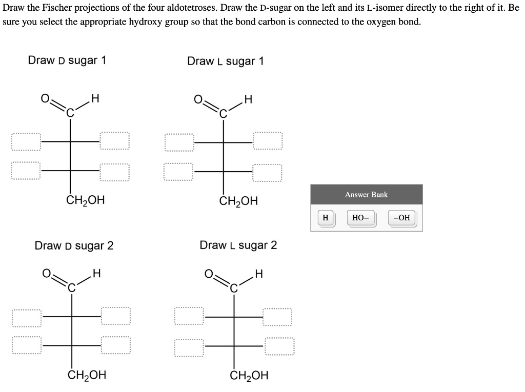 SOLVED Draw the Fischer projections of the four aldotetroses. Draw the