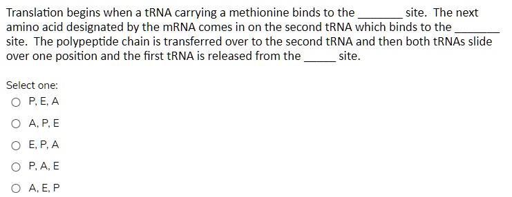 Translation begins when a tRNA carrying a methionine binds to the  site. The next amino acid designated by the mRNA comes in on the second tRNA which binds to the  site. The polypeptide chain is transferred over to the second tRNA and then both tRNAs slide over one position and the first tRNA is released from the  site.
Select one:
P, E, A
A, P, E
E, P, A
P, A, E
A, E, P