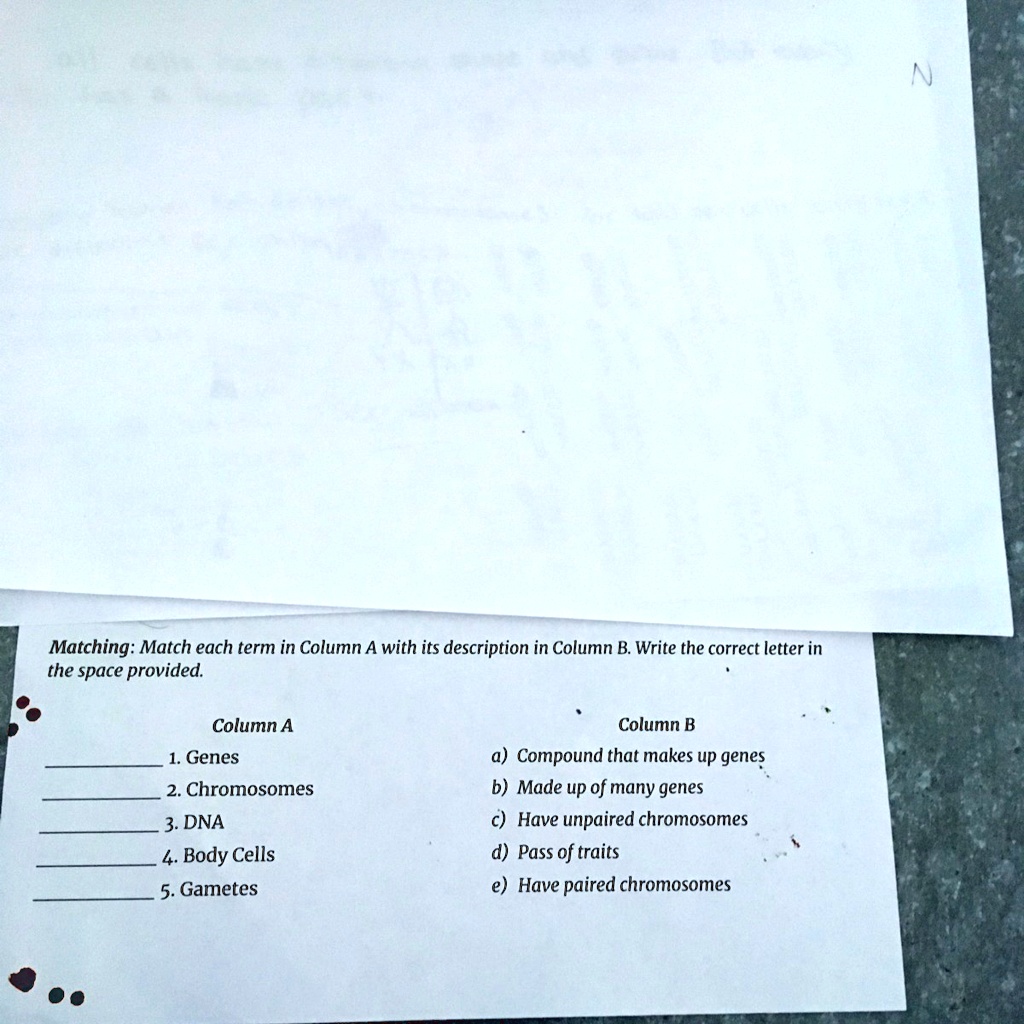 SOLVED: 'Pls Help Me :(((((((((( Matching: Match Each Term In Column A ...