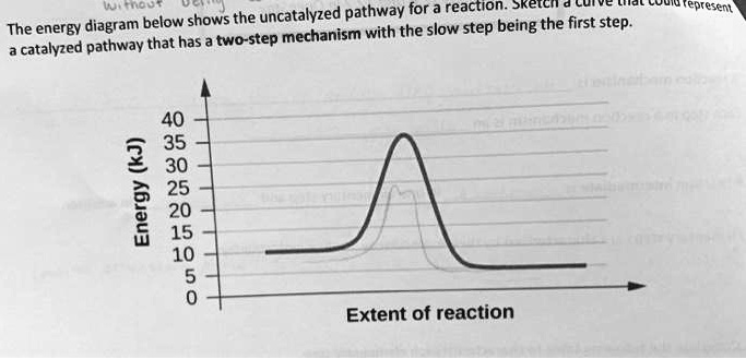 SOLVED:uncatalyzed pathway for a reaction Skelch The energy ...