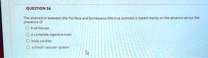 The distinction between the Porifera and Eumetazoa (the true animals) is based mainly on the absence versus the presence of
true tissues
a complete digestive tract
body cavities
a blood vascular system