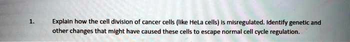 Explain how the cell division of cancer cells (like HeLa cells) is misregulated. Identify genetic and other changes that might have caused these cells to escape normal cell cycle regulation.