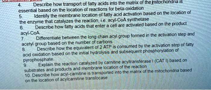 describe how transport of fatty acids into the matrix of themitochonana ...