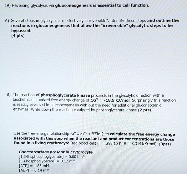 Solved 19 Reversing Glycolysis Via Gluoconeogenesis Is Essential To