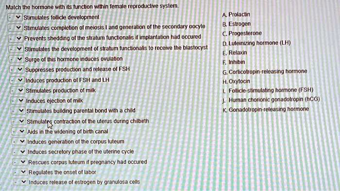 SOLVED: Match the hormone with its function within female reproductive ...