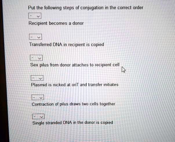 Put the following steps of conjugation in the correct order
Recipient becomes a donor
Transferred DNA in recipient is copied
Sex pilus from donor attaches to recipient cell
Plasmid is nicked at oriT and transfer initiates
Contraction of pilus draws two cells together
Single stranded DNA in the donor is copied