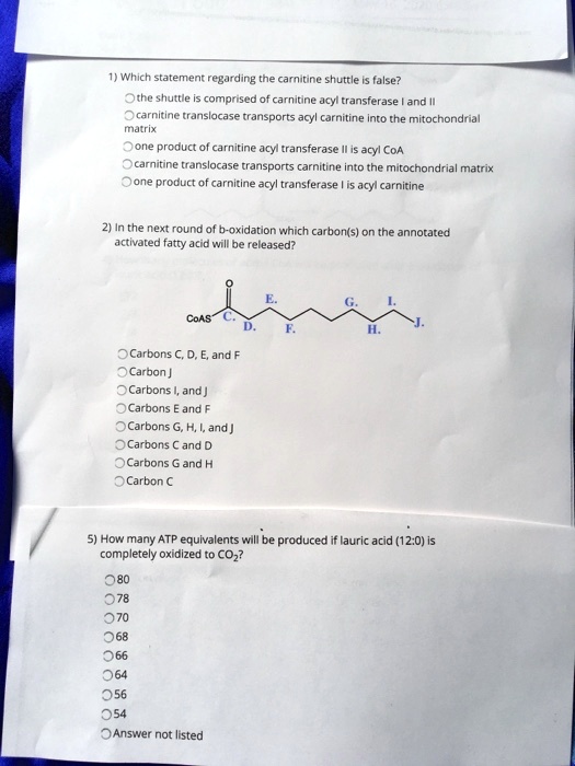 carnitine shuttle