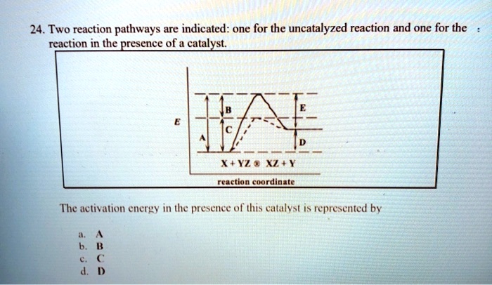 SOLVED: 24. Two reaction pathways are indicated: one for the ...