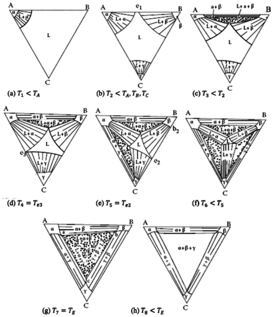 SOLVED: The Following Is A Ternary Eutectic Diagram Of Elements A, B, C ...