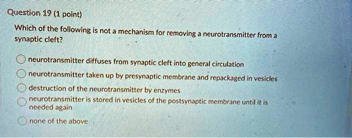 Which of the following is not a mechanism for removing a neurotransmitter from a synaptic cleft?

neurotransmitter diffuses from synaptic cleft into general circulation
neurotransmitter taken up by presynaptic membrane and repackaged in vesicles
destruction of the neurotransmitter by enzymes
neurotransmitter is stored in vesicles of the postsynaptic membrane until it is needed again
none of the above