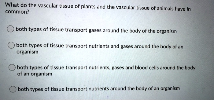 SOLVED: What do the vascular tissue of plants and the vascular tissue of  animals have in common? both types of tissue transport gases around the  body of the organism both types of
