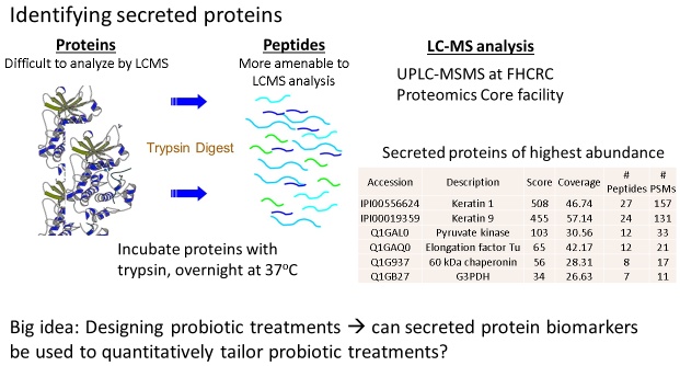 Solved Identifying Secreted Proteins Proteins Peptides Difficult To