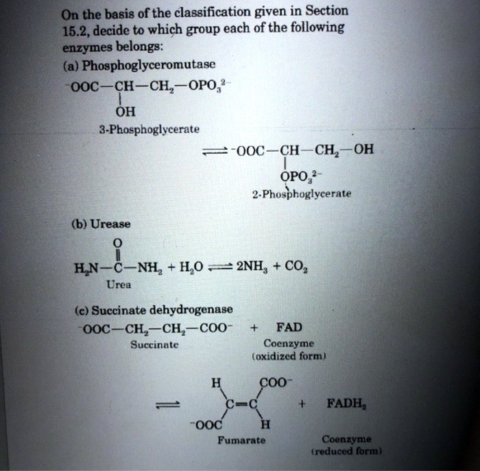 On the basis of the classification given in Section 15.2, decide to which group each of the following enzymes belongs:
(a) Phosphoglyceromutase
?OOC—CH—CH?—OPO?²?
 |
 OH
3-Phosphoglycerate
 ? ?OOC—CH—CH?—OH
 |
 OPO?²?
 2-Phosphoglycerate
(b) Urease
 O
 ?
H?N—C—NH? + H?O ? 2NH? + CO?
 Urea
(c) Succinate dehydrogenase
?OOC—CH?—CH?—COO? + FAD
 Succinate Coenzyme
 (oxidized form)
 H COO?
  /
 ? C=C + FADH?
 / 
?OOC H
 Fumarate Coenzyme
 (reduced form)