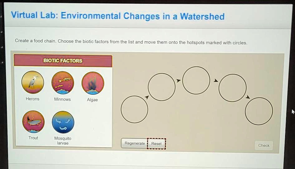 SOLVED Create a food chain. Choose the biotic factors from the list