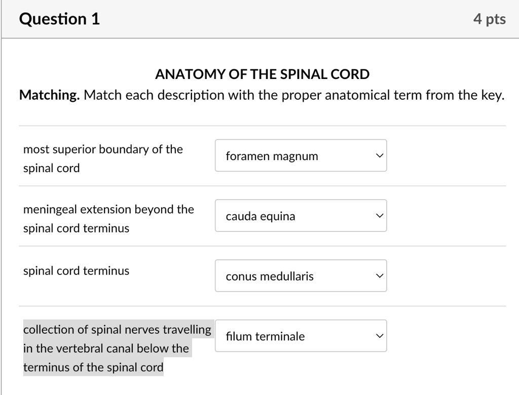 Question 1
4 pts
ANATOMY OF THE SPINAL CORD
Matching. Match each description with the proper anatomical term from the key.
most superior boundary of the
spinal cord
foramen magnum
meningeal extension beyond the
spinal cord terminus
cauda equina
spinal cord terminus
conus medullaris
collection of spinal nerves travelling
in the vertebral canal below the
terminus of the spinal cord
filum terminale