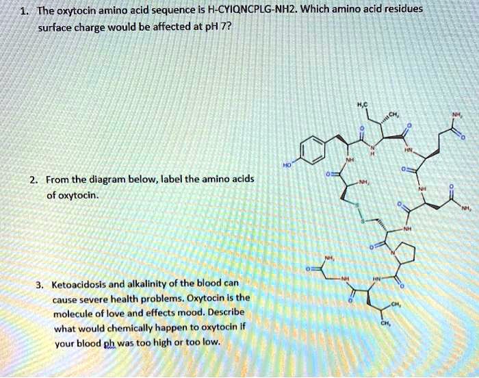 Solvedthe Oxytocin Amino Acid Sequence Is H Cyiqncplg Nh2 Which Amino Acid Residues Surface 1751