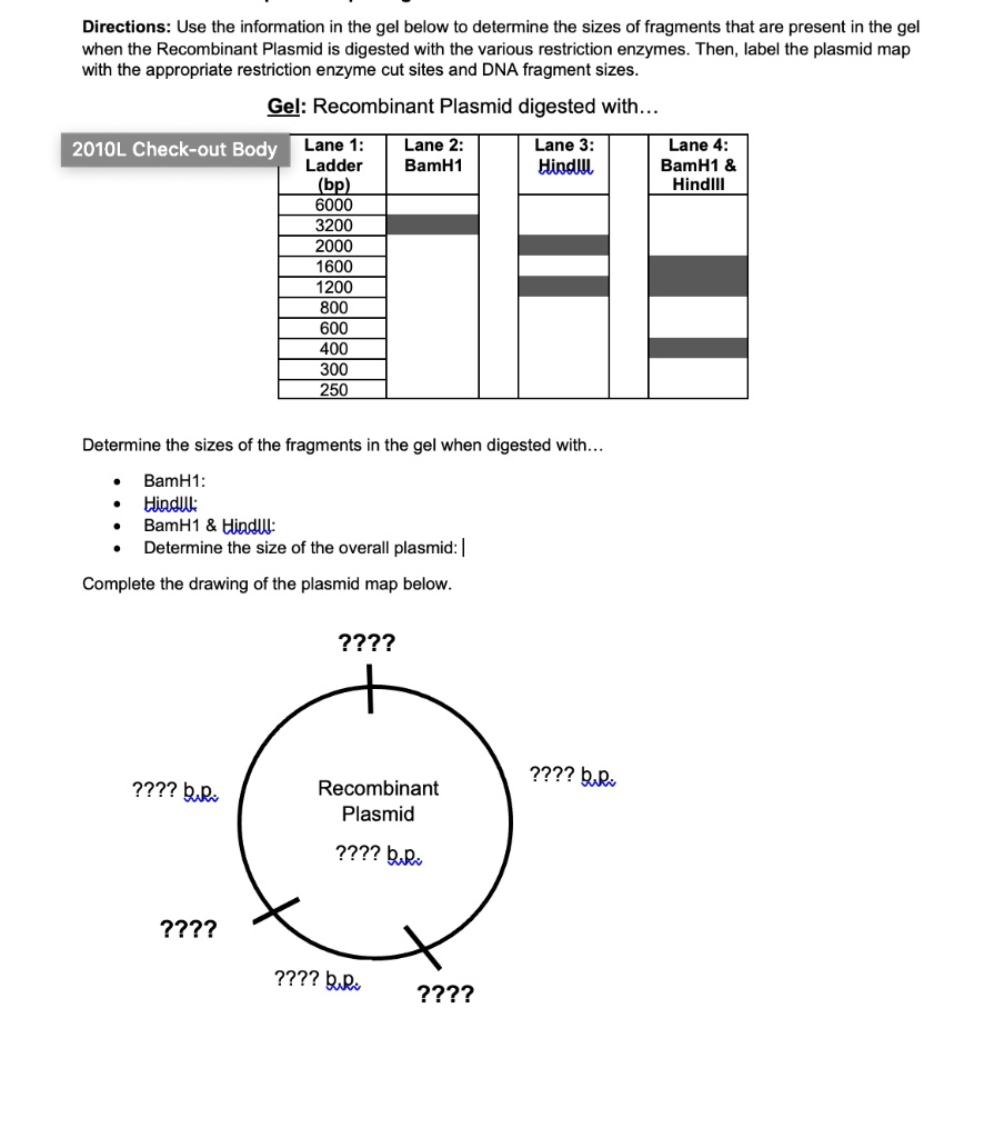 SOLVEDDirections Use the information in the gel below to determine