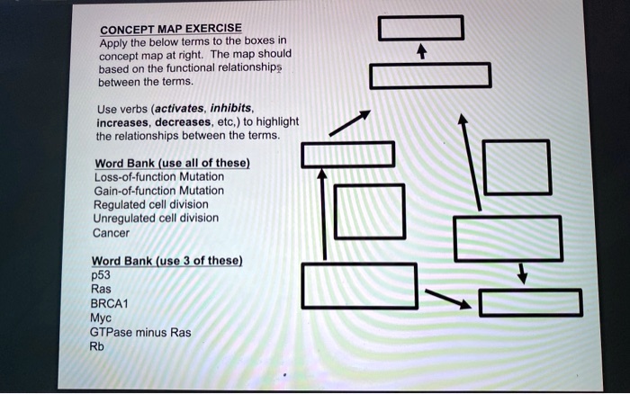 SOLVED: CONCEPT MAP EXERCISE Apply Ihe below terms t0 the boxes concept ...