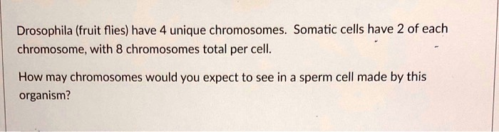 Drosophila (fruit flies) have 4 unique chromosomes. Somatic cells have 2 of each chromosome, with 8 chromosomes total per cell.

How may chromosomes would you expect to see in a sperm cell made by this organism?