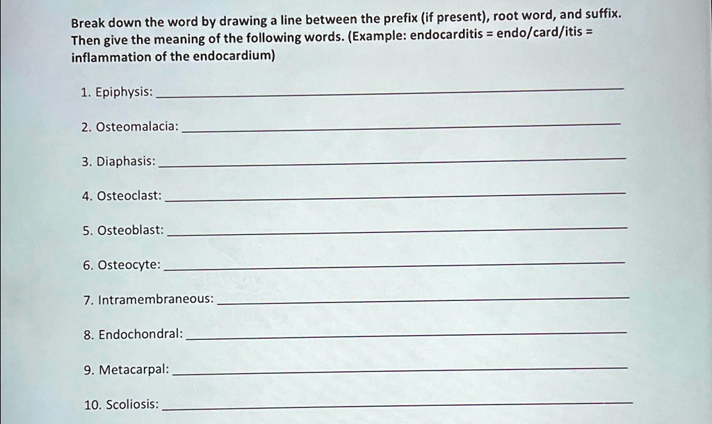 SOLVED Break down the word by drawing a line between the prefix (if
