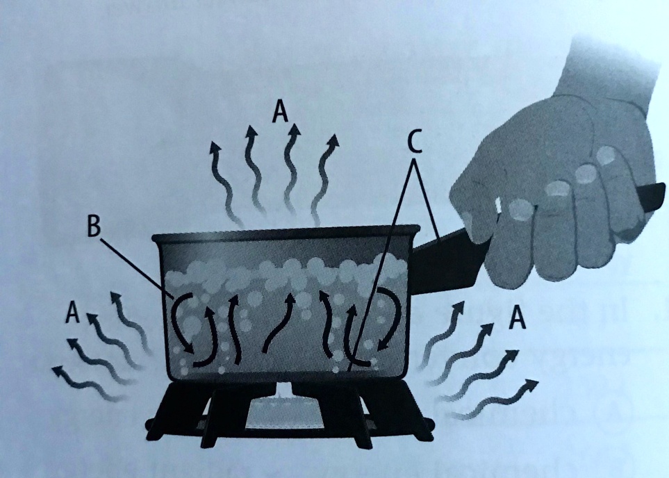 SOLVED: 'PLS HELP!! Which Correctly Identifies A Type Of Heat Transfer ...