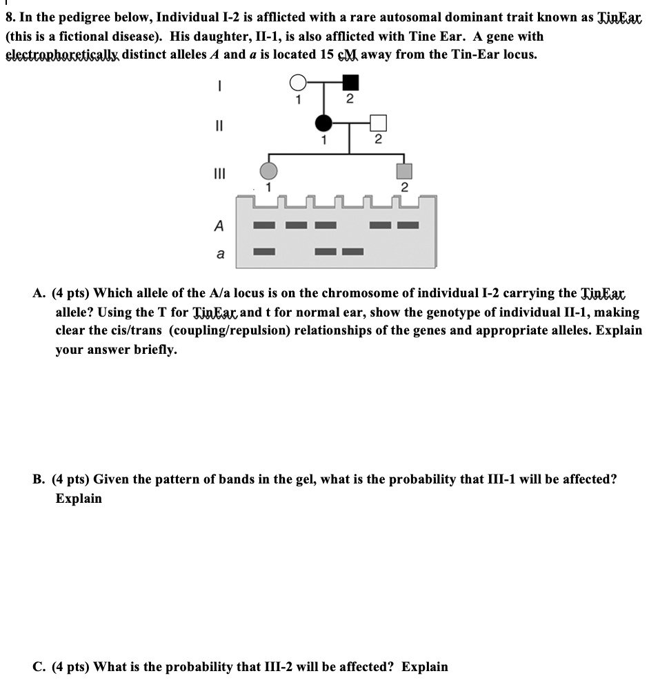 In the pedigree below, Individual 2 is afflicted with a rare autosomal