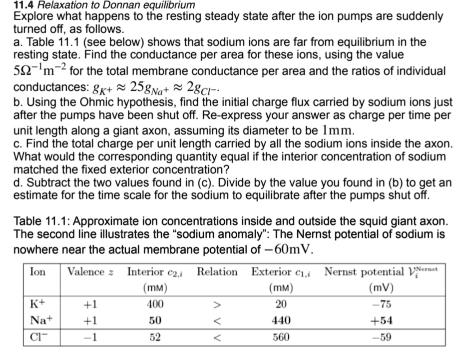 VIDEO solution 11.4 Relaxation to Donnan equilibrium Exploring the