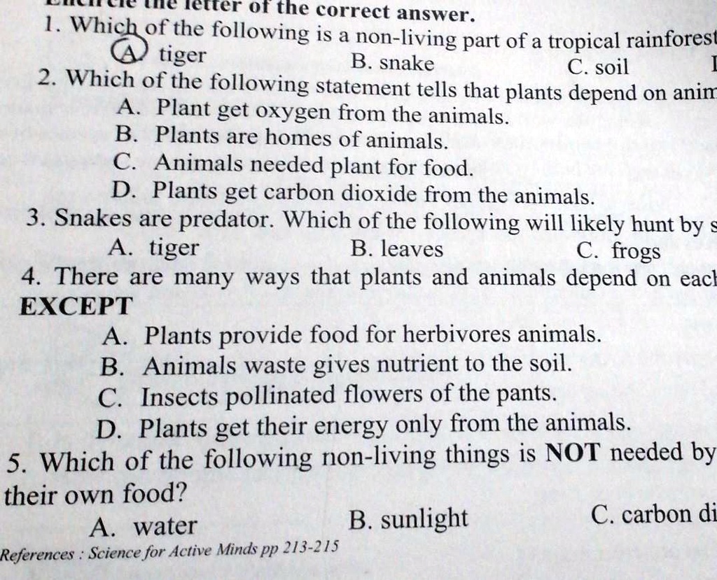 SOLVED: What I Can Do About It Applicant A forest was struck by ...