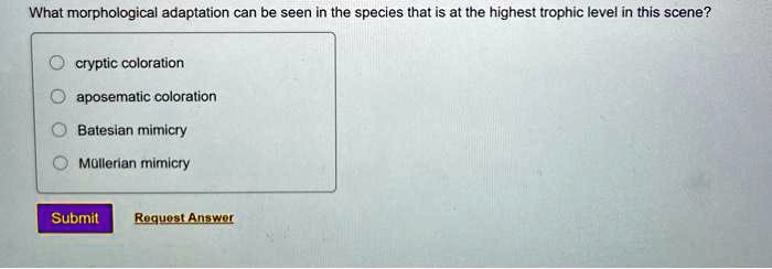 SOLVED: What morphological adaptation can be seen in the species that ...