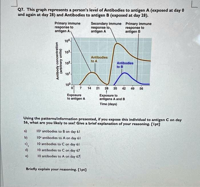 Q7. This graph represents a person's level of Antibodies to antigen A (exposed at day 0 and again at day 28) and Antibodies to antigen B (exposed at day 28).

Primary immune response to antigen A
Secondary immune response to antigen A
Primary immune response to antigen B

10^4
Antibody concentration
(arbitrary units)
10^3
Antibodies to A
Antibodies to B
10^2
10^1
10^0
0 7 14 21 28 35 42 49 56

Exposure to antigen A
Exposure to antigens A and B
Time (days)

Using the patterns/information presented, if you expose this individual to antigen C on day 56, what are you likely to see? Give a brief explanation of your reasoning. [1pt]

a) 10^3 antibodies to B on day 61
b) 10^4 antibodies to A on day 61
c) 10 antibodies to C on day 61
d) 10 antibodies to C on day 67
e) 10 antibodies to A on day 67

Briefly explain your reasoning. [1pt]