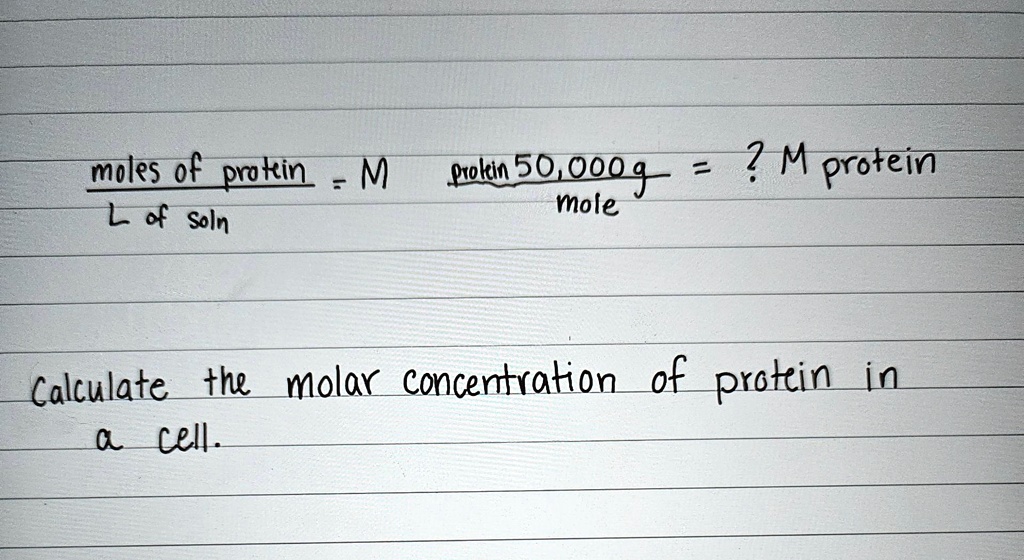 SOLVED: Texts: The molecular weight of the protein is 50,000 g/mol