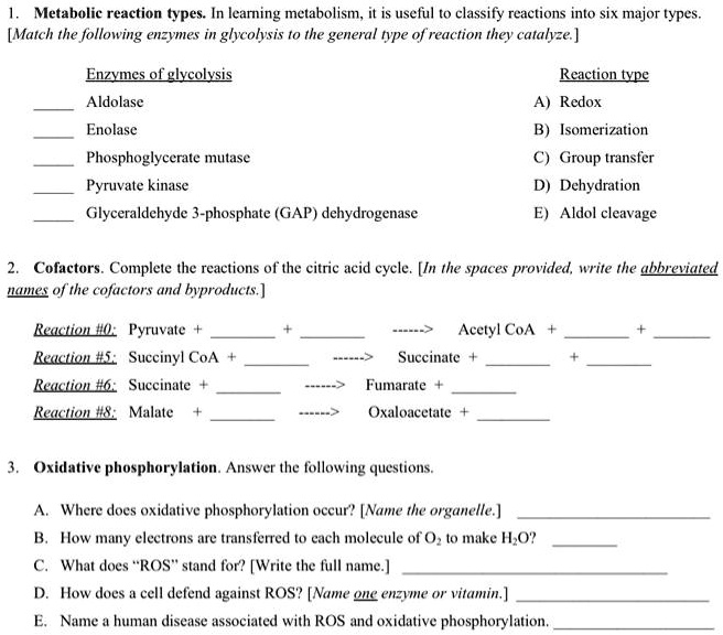 solved-metabolic-reaction-types-in-learning-metabolism-it-is-useful