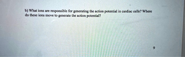 ions responsible for action potential