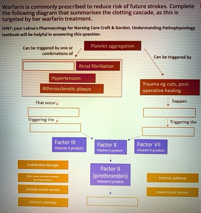 SOLVED:Warfarin is commonly prescribed to reduce risk of future strokes ...