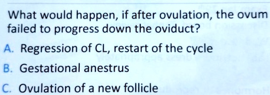 What would happen, if after ovulation, the ovum
failed to progress down the oviduct?

A. Regression of CL, restart of the cycle
B. Gestational anestrus
C. Ovulation of a new follicle