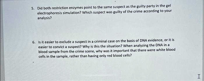 5. Did both restriction enzymes point to the same suspect as the guilty ...