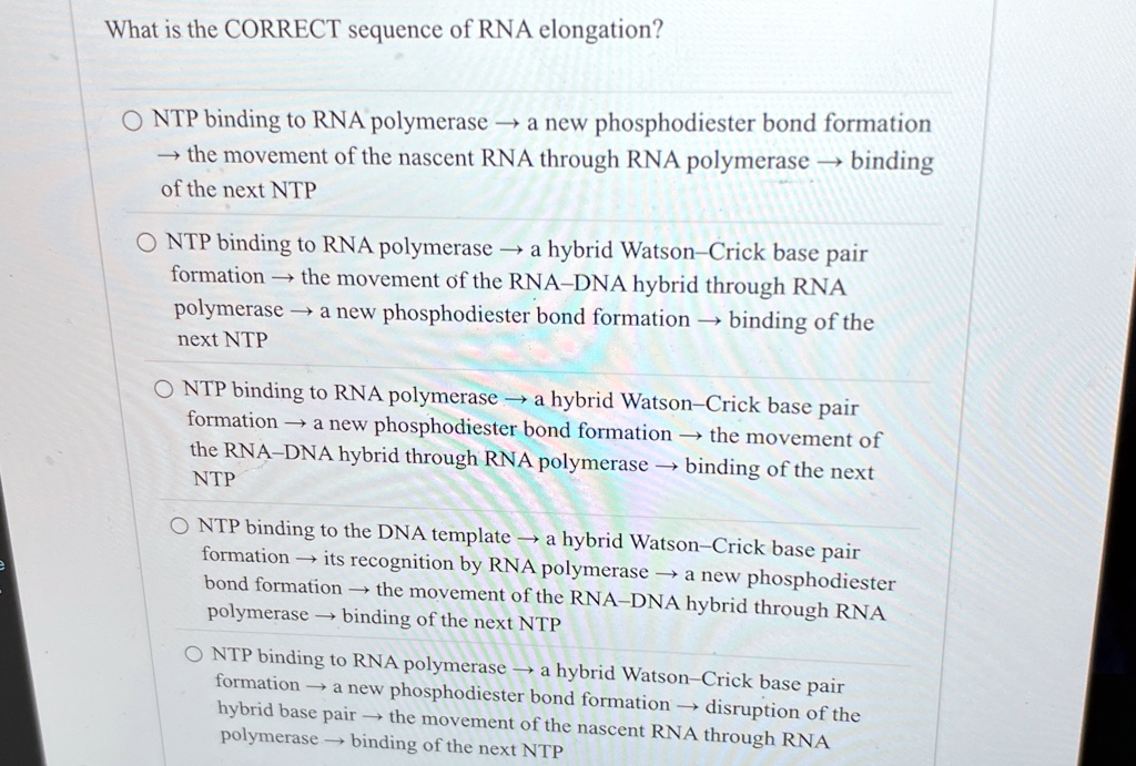 Rna Ntp What is the CORRECT sequence of RNA elongation? NTP binding to RNA ...