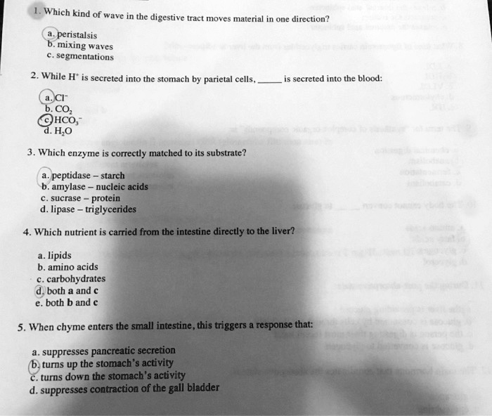 SOLVEDWhich kind of wave in the digestive tract Aeder material in one