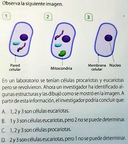 Solved Ay Denme Por Favor Tengo Minutos Para Responderla Observa La Siguienteimagen Parcd