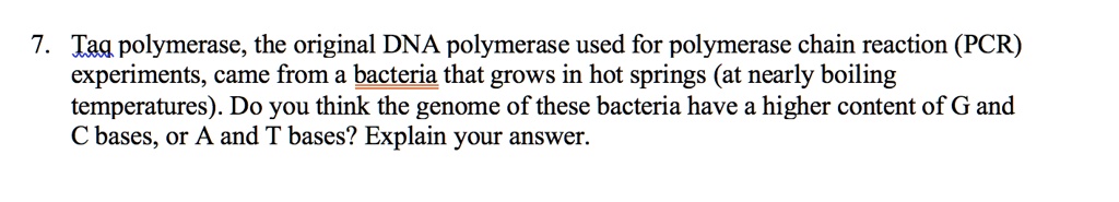 Solved Taq Polymerase The Original Dna Polymerase Used For Polymerase Chain Reaction Pcr