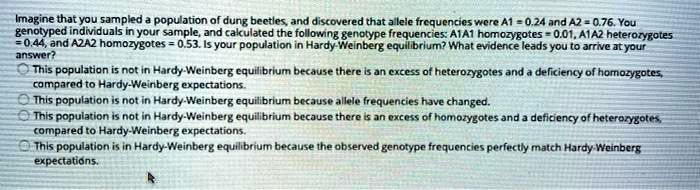 Imagine that you sampled a population of dung beetles, and discovered that allele frequencies were A1 = 0.24 and A2 = 0.76. You genotyped individuals in your sample, and calculated the following genotype frequencies: A1A1 homozygotes = 0.01, A1A2 heterozygotes = 0.44, and A2A2 homozygotes = 0.53. Is your population in Hardy-Weinberg equilibrium? What evidence leads you to arrive at your answer?
This population is not in Hardy-Weinberg equilibrium because there is an excess of heterozygotes and a deficiency of homozygotes, compared to Hardy-Weinberg expectations.
This population is not in Hardy-Weinberg equilibrium because allele frequencies have changed.
This population is not in Hardy-Weinberg equilibrium because there is an excess of homozygotes and a deficiency of heterozygotes, compared to Hardy-Weinberg expectations.
This population is in Hardy-Weinberg equilibrium because the observed genotype frequencies perfectly match Hardy-Weinberg expectations.