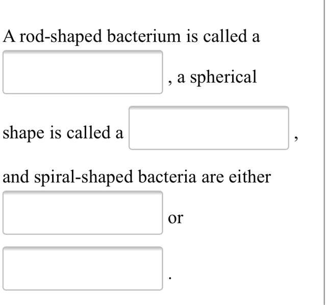 SOLVED rodshaped bacterium is called a a spherical shape is called a and spiralshaped