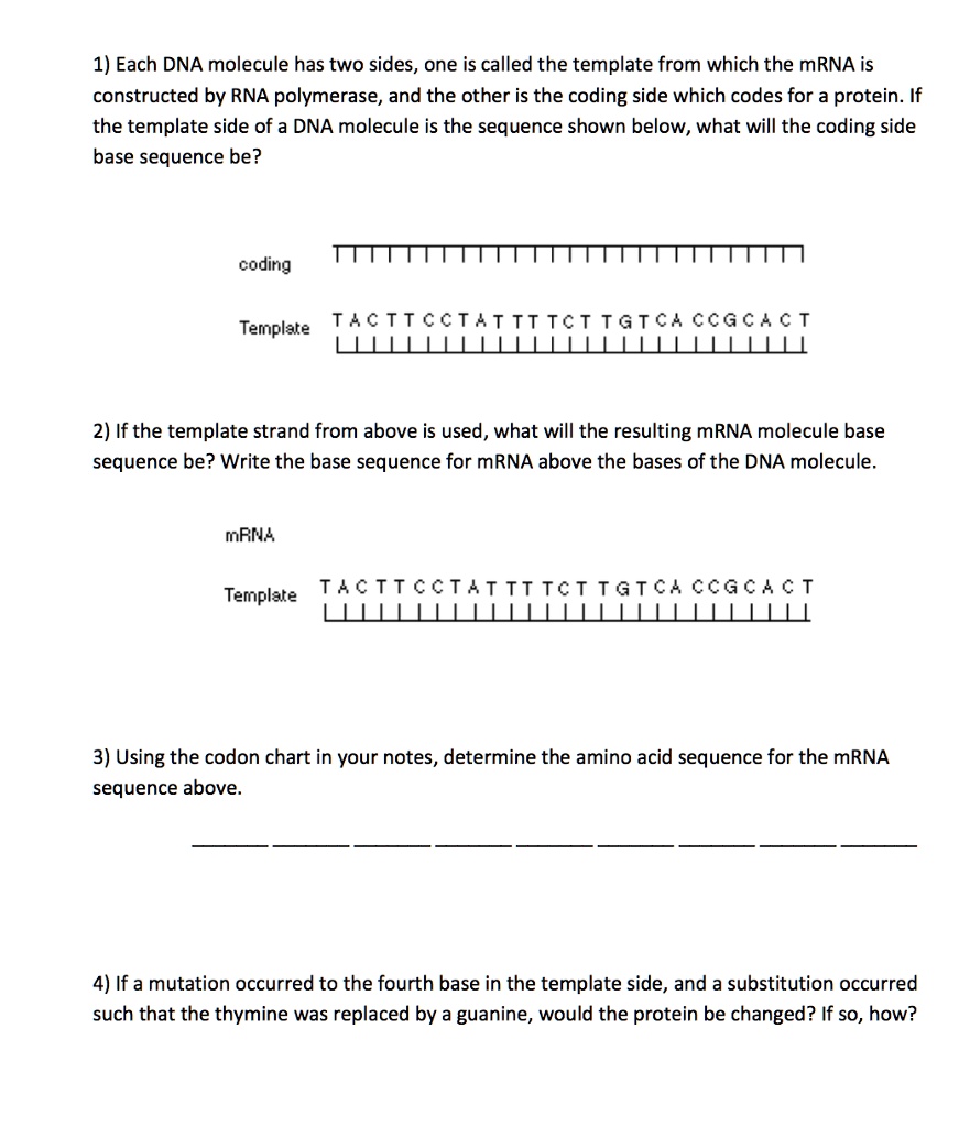 1) Each DNA molecule has two sides, one is called the template from which the mRNA is constructed by RNA polymerase, and the other is the coding side which codes for a protein. If the template side of a DNA molecule is the sequence shown below, what will the coding side base sequence be?

coding
Template T A C T T C C T A T T T T C T T G T C A C C G C A C T

2) If the template strand from above is used, what will the resulting mRNA molecule base sequence be? Write the base sequence for mRNA above the bases of the DNA molecule.

mRNA
Template T A C T T C C T A T T T T C T T G T C A C C G C A C T

3) Using the codon chart in your notes, determine the amino acid sequence for the mRNA sequence above.

4) If a mutation occurred to the fourth base in the template side, and a substitution occurred such that the thymine was replaced by a guanine, would the protein be changed? If so, how?