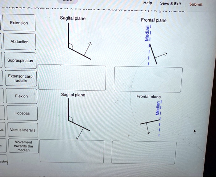 SOLVED Sagittal plane Extension Frontal plane Median Abduction