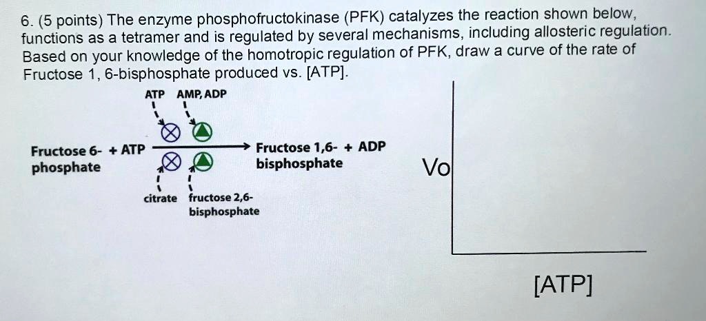 Solved 65 Pointsthe Enzyme Phosphofructokinase Pfk Catalyzes The