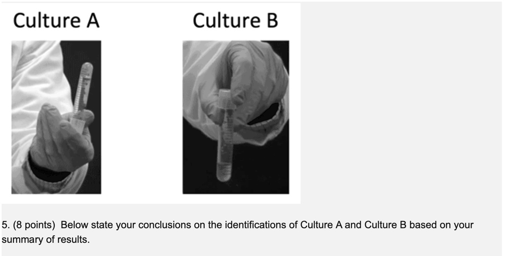 SOLVED: Culture A Culture B 5. (8 Points) Below State Your Conclusions ...