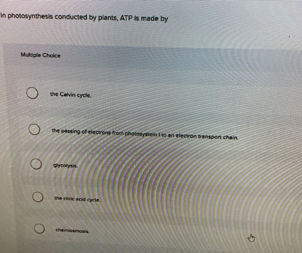 in photosynthesis conducted by plants atp is made by multiple choice ...