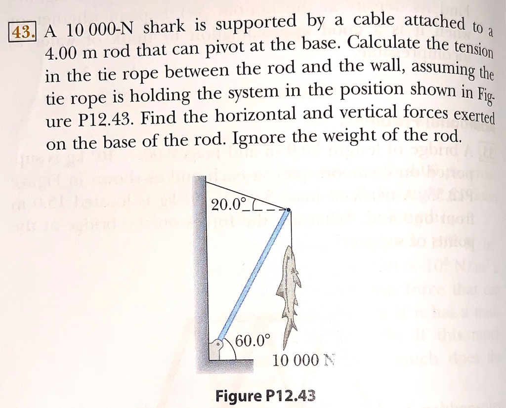 43. A 10 000-N shark is supported by a cable attached to a 4.00 m rod that can pivot at the base. Calculate the tension in the tie rope between the rod and the wall, assuming the tie rope is holding the system in the position shown in Figure P12.43. Find the horizontal and vertical forces exerted on the base of the rod. Ignore the weight of the rod.