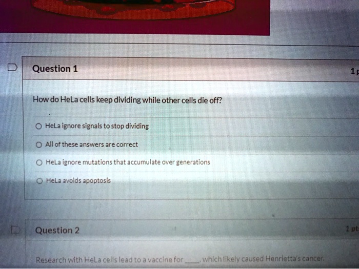 Question 1
How do HeLa cells keep dividing while other cells die off?
HeLa ignore signals to stop dividing
All of these answers are correct
HeLa ignore mutations that accumulate over generations
HeLa avoids apoptosis
Question 2
Research with HeLa cells lead to a vaccine for , which likely caused Henrietta's cancer.
