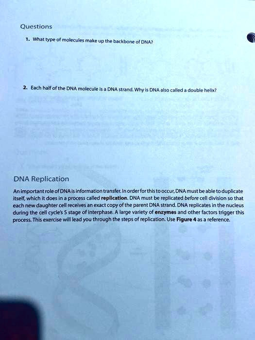 SOLVED: Questions What type of molecules make up the backbone of DNA ...